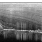 Images of the ice-covered Gamburtsev Mountains revealed water-filled valleys, as seen by the cluster of vertical lines in this image (Tim Creyts, University of Columbia)