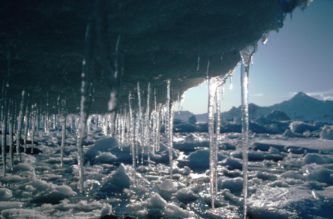 Icicles