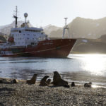 RRS James Clark Ross at South Georgia